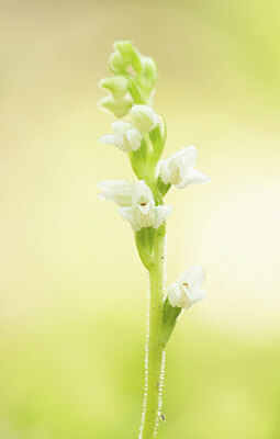 BUITEN BEELD Foto: 437279