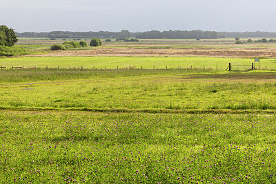 BUITEN BEELD Foto: 437304