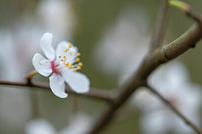 BUITEN BEELD Foto: 437308