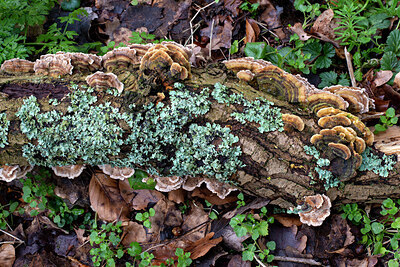 BUITEN BEELD Foto: 437316