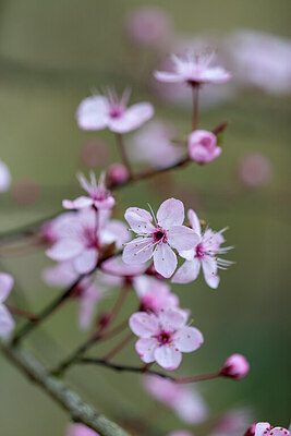 BUITEN BEELD Foto: 437322