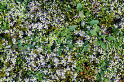 BUITEN BEELD Foto: 437325