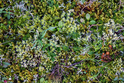 BUITEN BEELD Foto: 437326