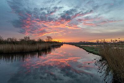 BUITEN BEELD Foto: 437331