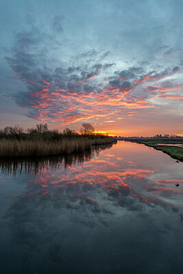 BUITEN BEELD Foto: 437332