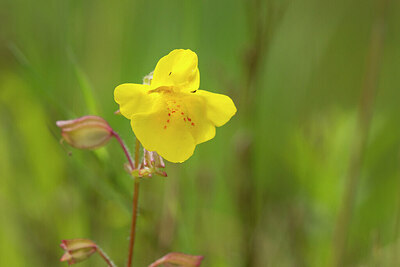 BUITEN BEELD Foto: 437334