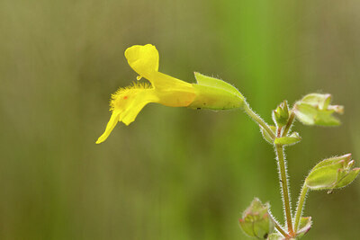 BUITEN BEELD Foto: 437336