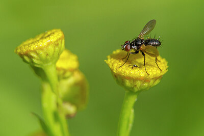 BUITEN BEELD Foto: 437337
