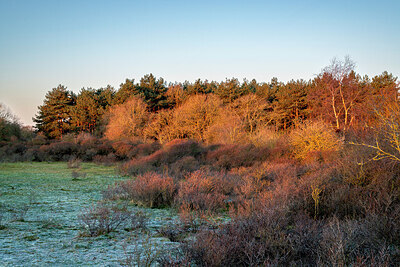 BUITEN BEELD Foto: 437355