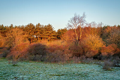 BUITEN BEELD Foto: 437356