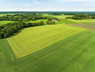 BUITEN BEELD Foto: 437362
