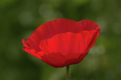 BUITEN BEELD Foto: 437371