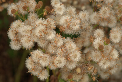 BUITEN BEELD Foto: 437400