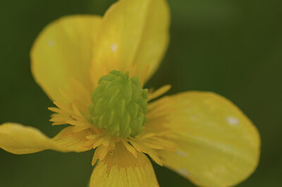 BUITEN BEELD Foto: 437414