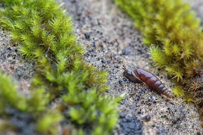 BUITEN BEELD Foto: 437450