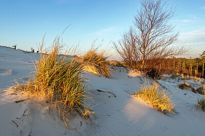 BUITEN BEELD Foto: 437474