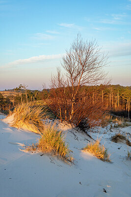 BUITEN BEELD Foto: 437475