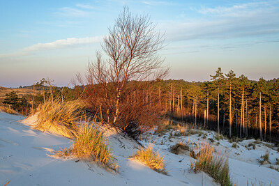 BUITEN BEELD Foto: 437476