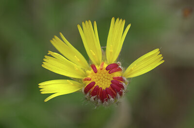 BUITEN BEELD Foto: 437495