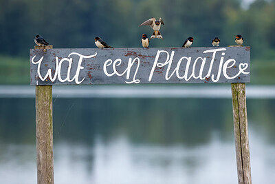BUITEN BEELD Foto: 437539