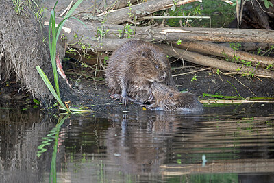 BUITEN BEELD Foto: 437566