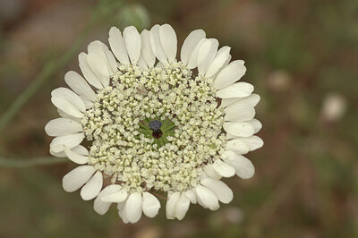 BUITEN BEELD Foto: 437573
