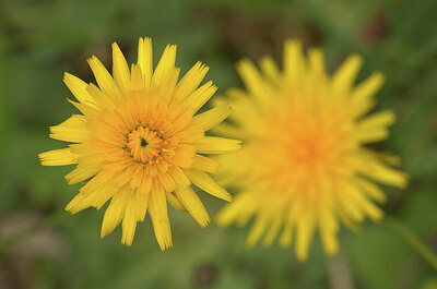 BUITEN BEELD Foto: 437579