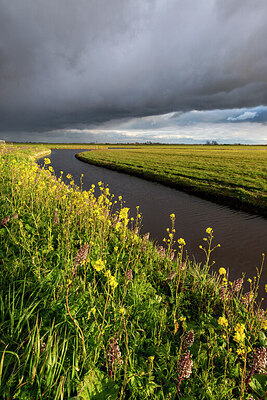 BUITEN BEELD Foto: 437603