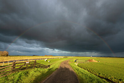 BUITEN BEELD Foto: 437604