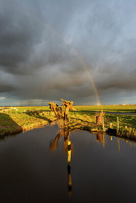 BUITEN BEELD Foto: 437605