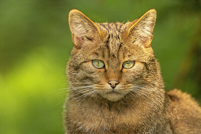 BUITEN BEELD Foto: 437680