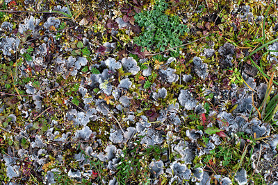 BUITEN BEELD Foto: 437708