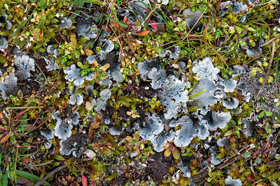 BUITEN BEELD Foto: 437709