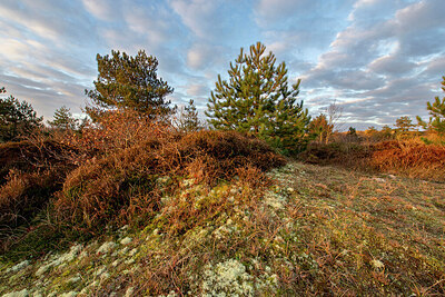 BUITEN BEELD Foto: 437713