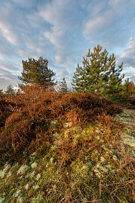 BUITEN BEELD Foto: 437714