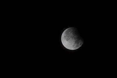 BUITEN BEELD Foto: 437736
