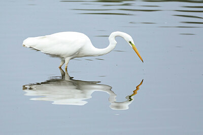 BUITEN BEELD Foto: 437789