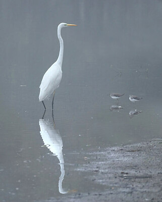 BUITEN BEELD Foto: 437793