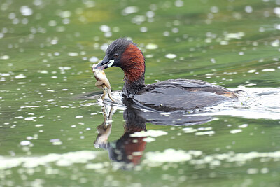 BUITEN BEELD Foto: 437815