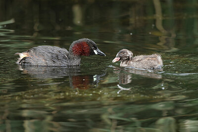 BUITEN BEELD Foto: 437824