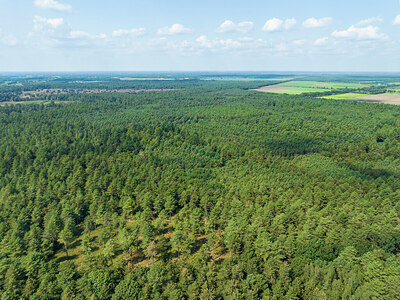 BUITEN BEELD Foto: 437875
