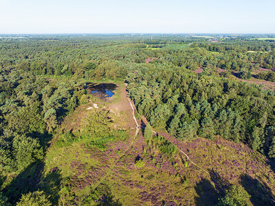 BUITEN BEELD Foto: 437876