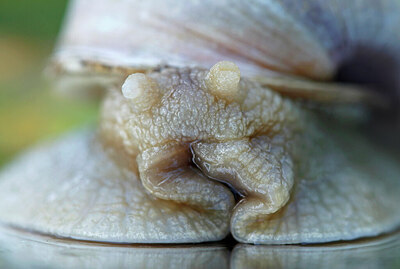 BUITEN BEELD Foto: 437888
