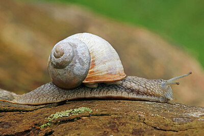 BUITEN BEELD Foto: 437894