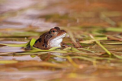 BUITEN BEELD Foto: 437895