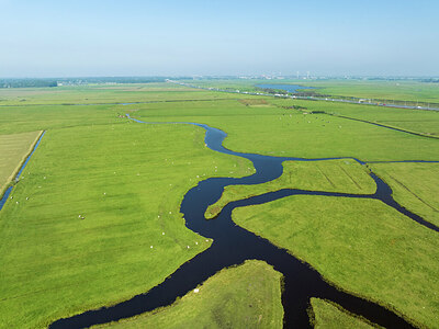 BUITEN BEELD Foto: 437941