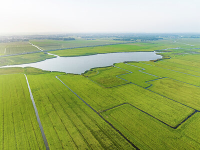 BUITEN BEELD Foto: 437942