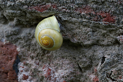BUITEN BEELD Foto: 438004