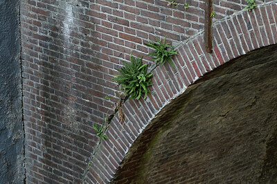 BUITEN BEELD Foto: 438027