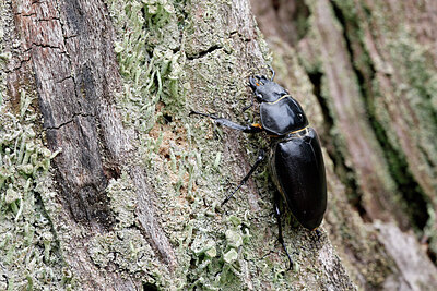 BUITEN BEELD Foto: 438060
